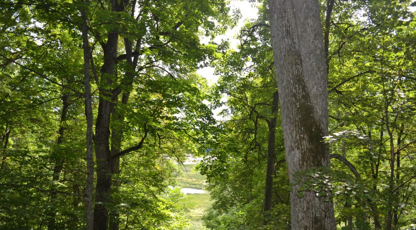 Nature reserve “Pilskalnes Siguldiņa”