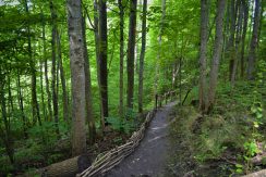 Nature reserve “Pilskalnes Siguldiņa”