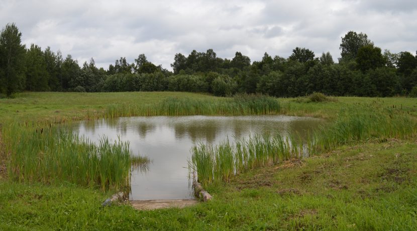 Viesu māja “Rozes”