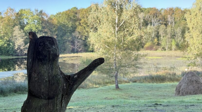 Dabas liegums “Pilskalnes Siguldiņa”