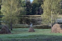 Dabas liegums “Pilskalnes Siguldiņa”