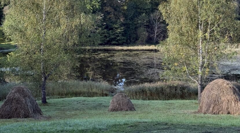 Dabas liegums “Pilskalnes Siguldiņa”