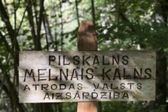 Dabas liegums “Pilskalnes Siguldiņa”