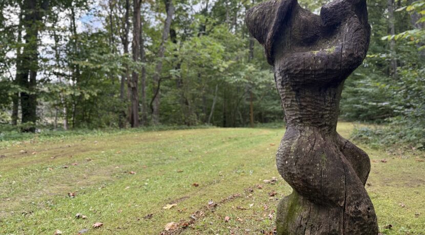 Dabas liegums “Pilskalnes Siguldiņa”
