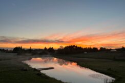 Viesu māja „Grāvīši”