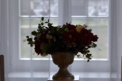 Dvietes muižas komplekss