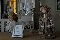 Dvietes muižas komplekss