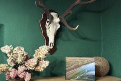 Dvietes muižas komplekss