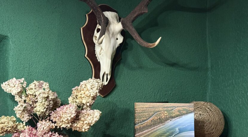 Dvietes muižas komplekss