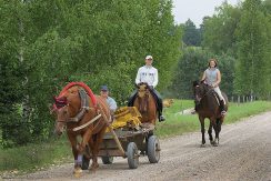 Horseback riding in Bebrene