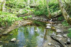 Akmenupe Nature trail