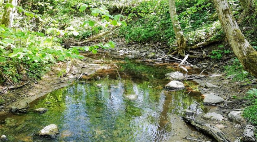 Akmenupe Nature trail