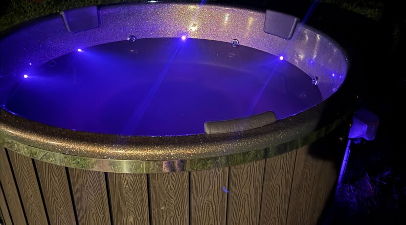 Viesu māja „Grāvīši”