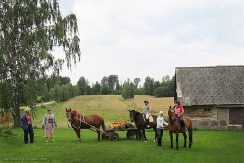 Horseback riding in Bebrene