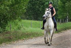 Horseback riding in Bebrene