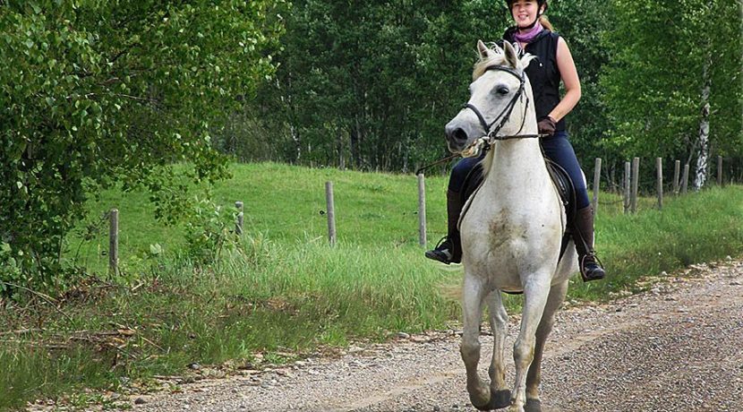 Horseback riding in Bebrene