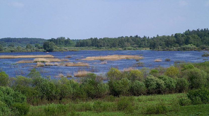 Nature park „Dvietes paliene”