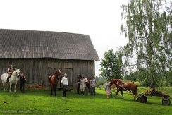 Horseback riding in Bebrene