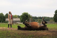 Конные прогулки в Бебрене