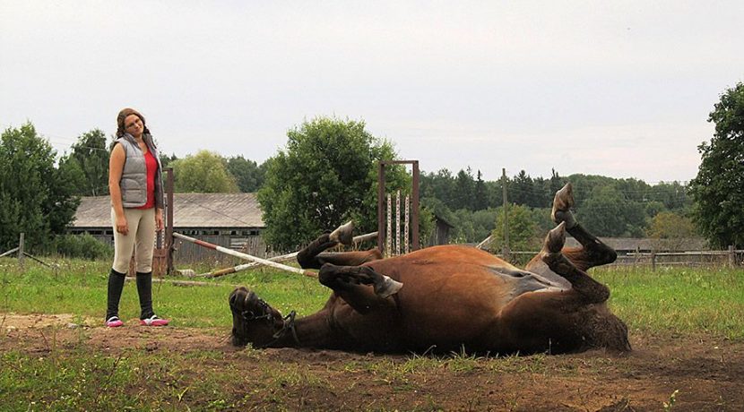 Horseback riding in Bebrene