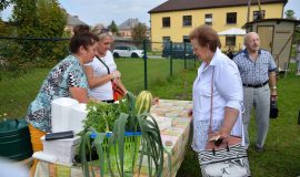 GARDĒŽU BALLE UN PASAKA PAR KALKŪNU SĪPOLIEM