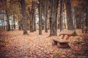 Iepazīsties ar Augšdaugavas novada krāšņiem muižu parkiem