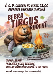 BEBRA TIRGUS RUDENĪ