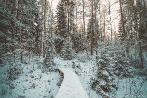 Priecīgas ziņas ziemas prieku mīļotājiem! (atjaunots)