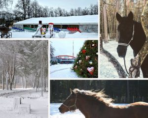 Negaidi un izbaudi ziemas priekus!