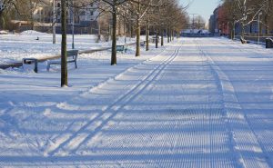 CENTRĀLAJĀ PARKĀ IZVEIDOTA SLĒPOŠANAS TRASE