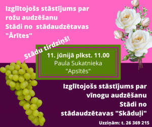 Stādu tirdziņš Dvietes “Apsītēs”