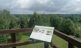 Višķu pagastā atjaunots Ostrovas putnu vērošanas tornis
