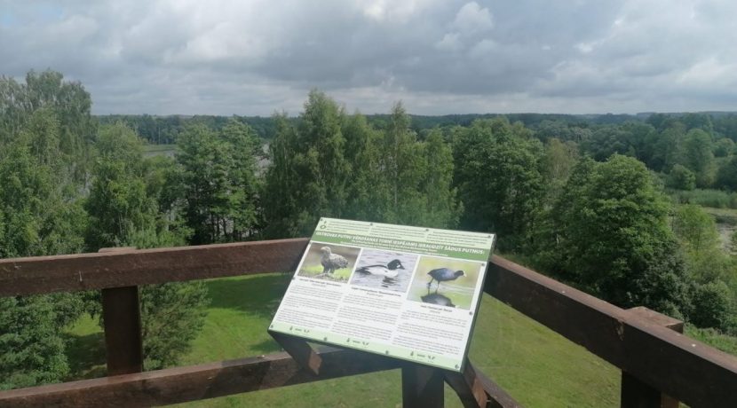 Ostrovos paukščių stebėjimo bokštą