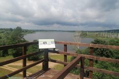 Ostrova Birdwatching Tower