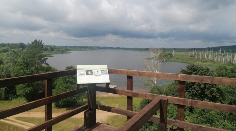 Ostrova Birdwatching Tower