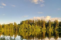 Brīvdienu māja “Forest Lake”