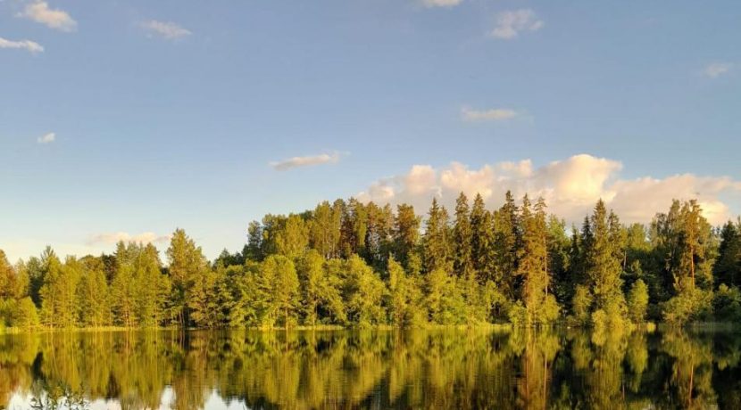 Brīvdienu māja “Forest Lake”