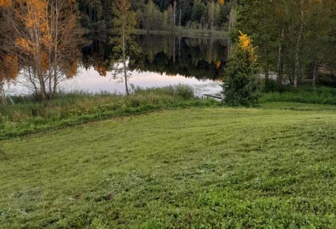 Brīvdienu māja “Forest Lake”