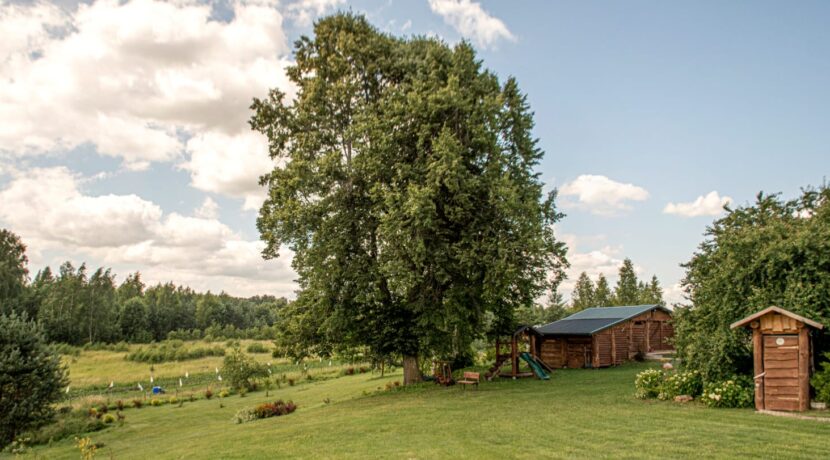 Brīvdienu māja “Forest Lake”