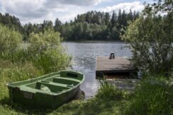 Brīvdienu māja “Forest Lake”