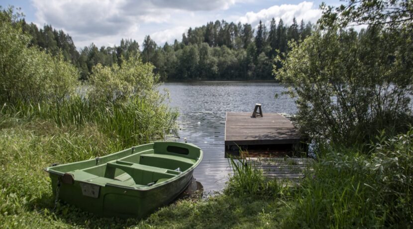 Brīvdienu māja “Forest Lake”