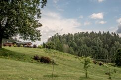 Brīvdienu māja “Forest Lake”