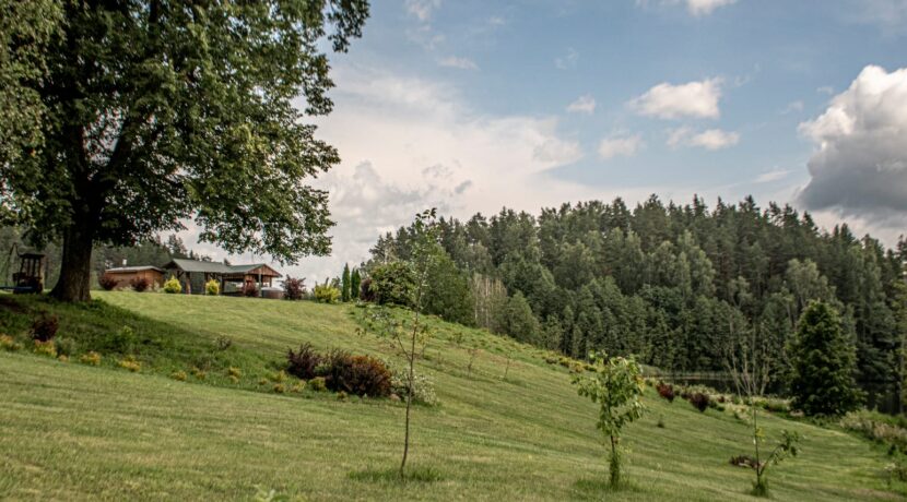 Brīvdienu māja “Forest Lake”