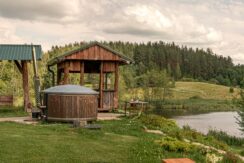 Brīvdienu māja “Forest Lake”