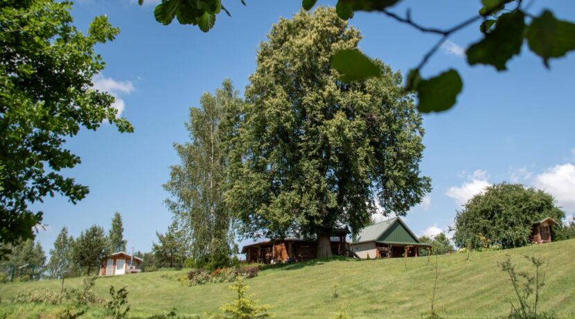Brīvdienu māja “Forest Lake”