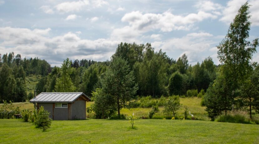 Brīvdienu māja “Forest Lake”