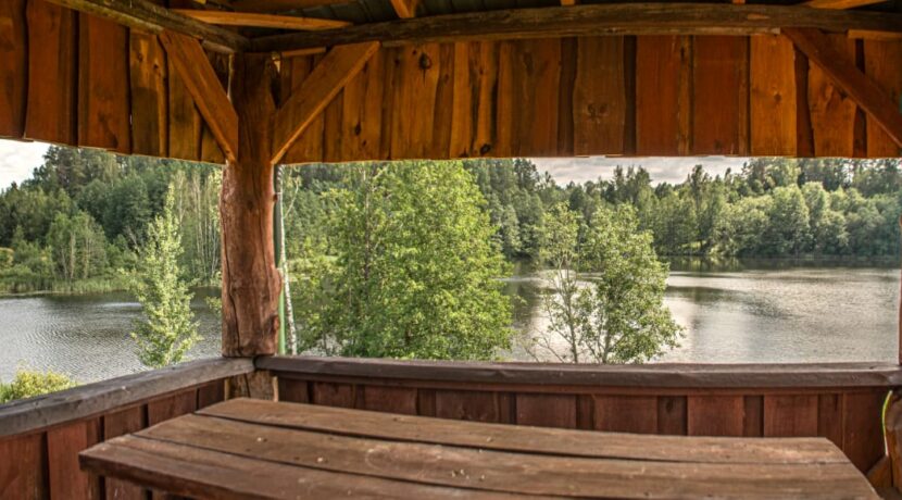 Brīvdienu māja “Forest Lake”
