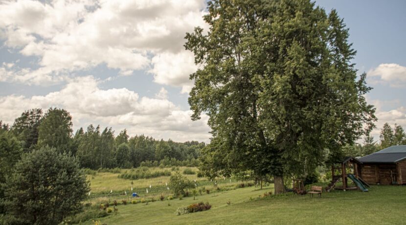 Brīvdienu māja “Forest Lake”