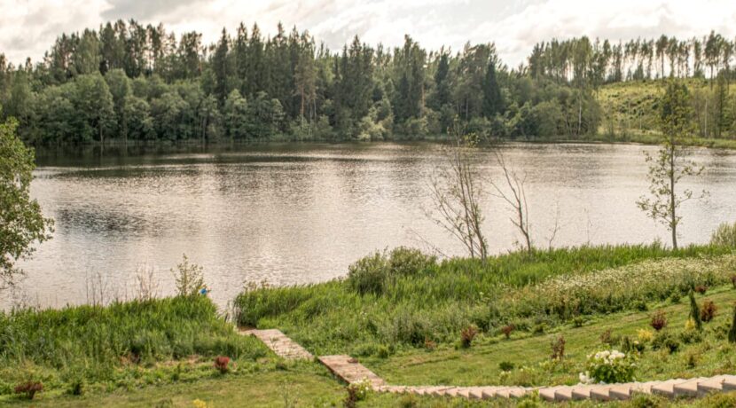 Brīvdienu māja “Forest Lake”