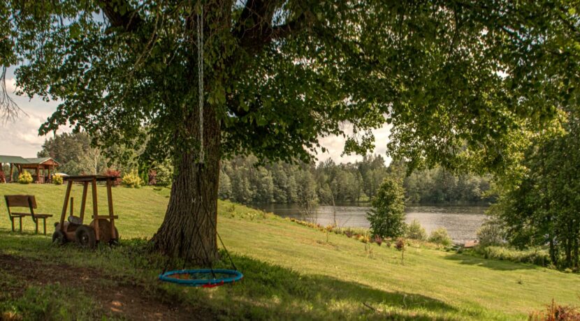 Brīvdienu māja “Forest Lake”